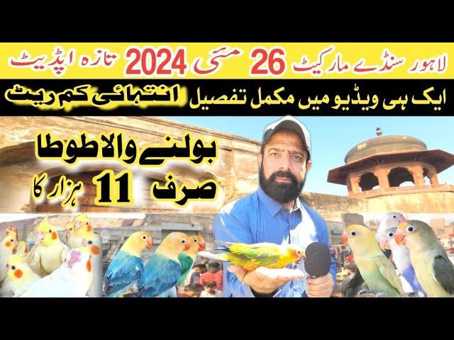 sunday birds market lahore 2024 | sunday birds market latest price update