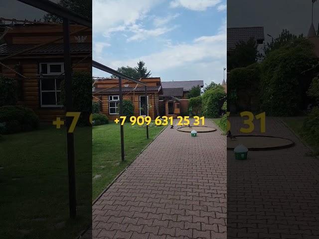 Голуби на продажу, молодые голуби.