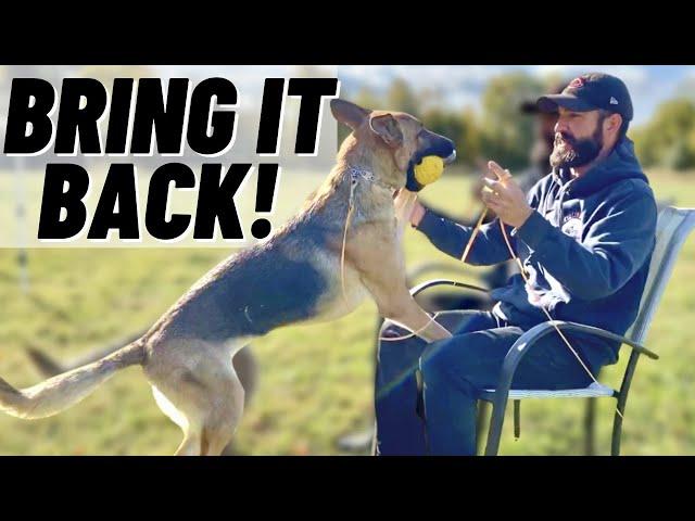 HOW TO TEACH FETCH! STEP BY STEP!