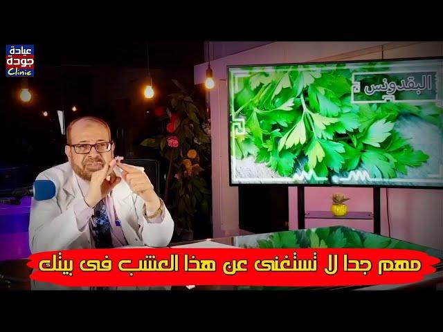 إذا كنت تعانى من وجع الجنب وآلام المفاصل والحصوات - تناول البقدونس - مصدر كنز رائع لا تستغنى عنه