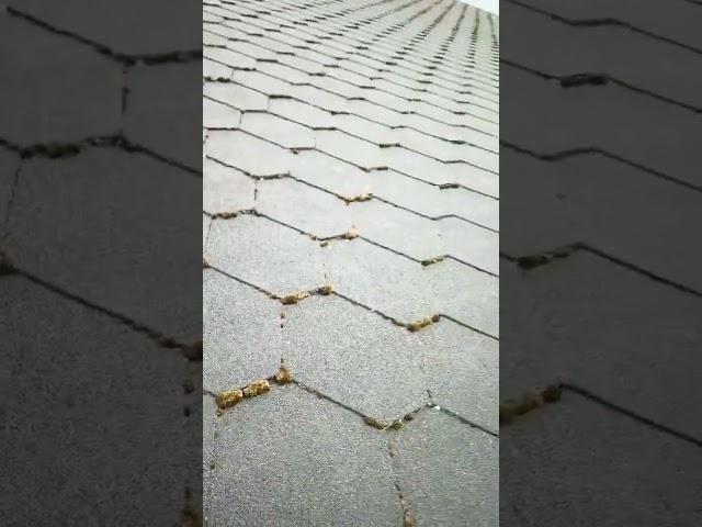 Что стало с гибкой черепицей #shorts @tehnadzornn