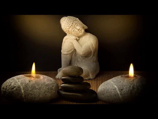 Meditation Yoga Music | Relaxing & Calming Music | Stress Relief Zen Music | Calming Music For Sleep