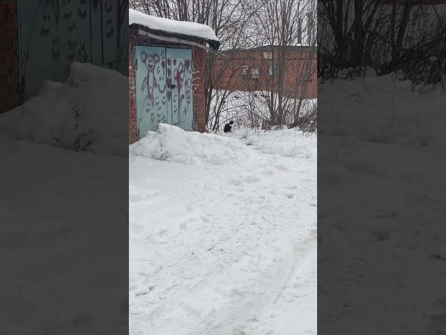 Обиделась, что к ней подселили жильца))))
