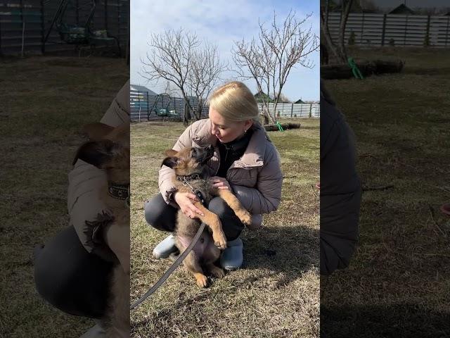 Наш дом в деревне.Открываем сезон