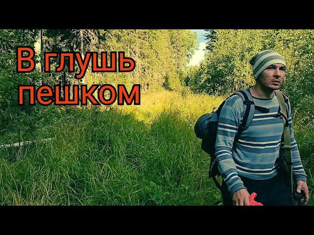 Озеро в глуши. Республика Коми. Сыктывкар