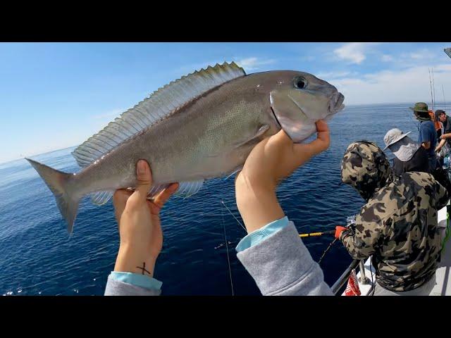 Deep Dropping for Tilefish and Seabass Aboard the Rudee Tours! (2024 Virginia Beach Fishing Trip)