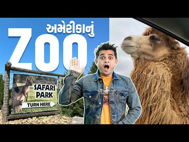 અમેરીકાનુ Zoo  | Khajur Bhai VLOGS | Jigli and Khajur |USA|America | Tennessee | Jackson | Khajur