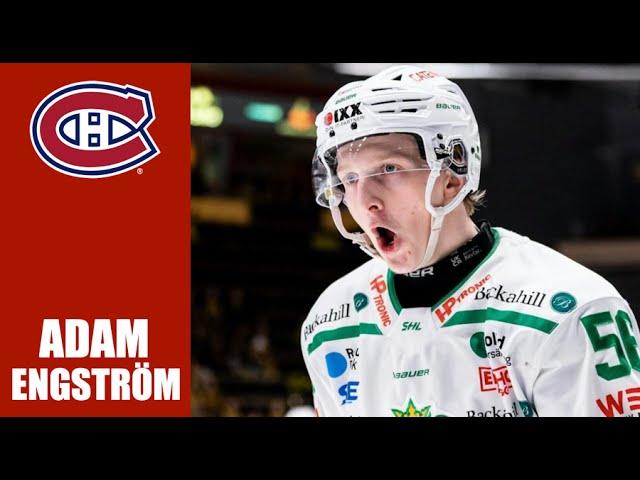 NHL Prospects : Adam Engström - 23-24 Highlights