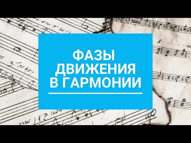 Основы движения аккордов в любой музыке