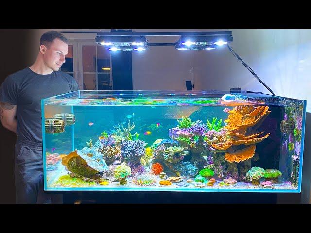 GERMAN REEF TANKS - "Designer Shallow Coral Reef" - 800 liter / 215 gallon aquarium