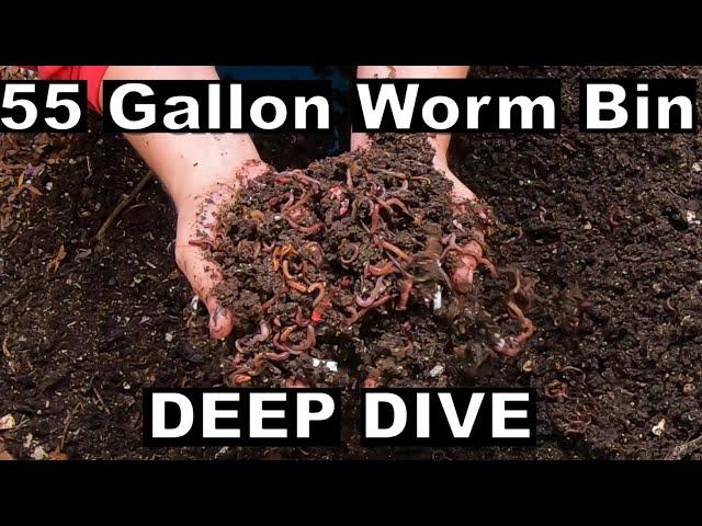 55 Gallon Worm Bin -Sift- Fluff - Feed