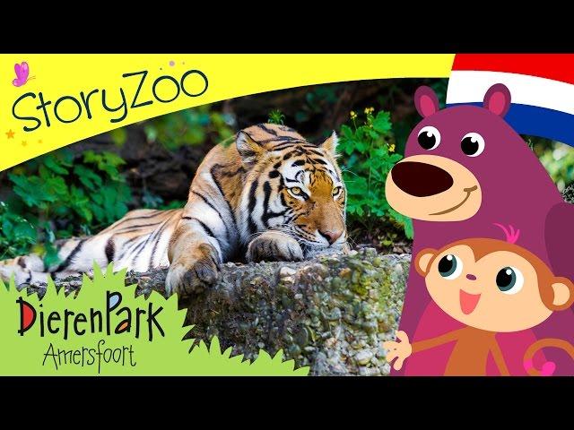 Episode 2 • StoryZoo op bezoek bij de tijgers in Dierenpark Amersfoort