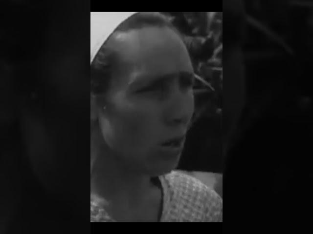 Как собирали кукурузу. Архивное видео 1964 г. #shorts #newshorts #история #урожай #жатва #кукуруза