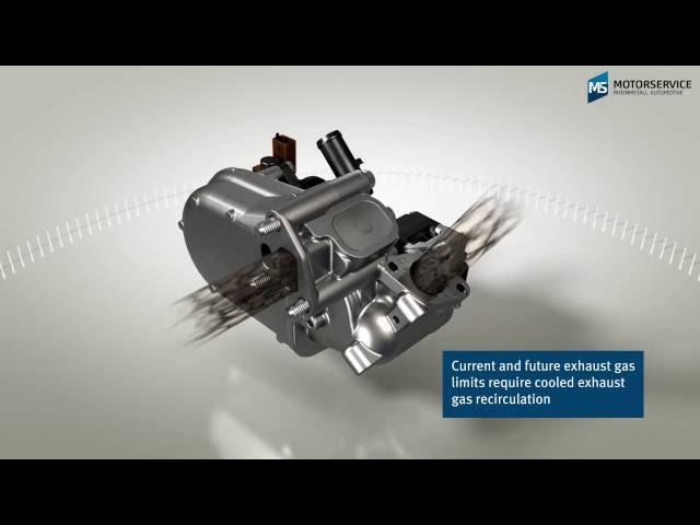 Function of an EGR cooler (3D animation) - Motorservice Group -