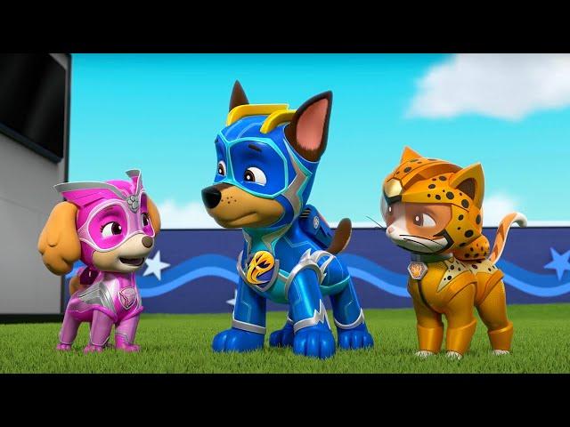 PAW Patrol - Cat Pack: Rocket Rescuers | Season 9 Compilation | WildBrain Zoo | Cartoons of Kids