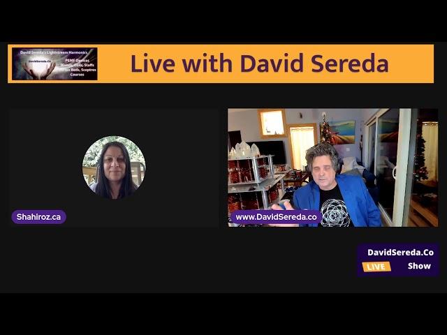 David Sereda Live