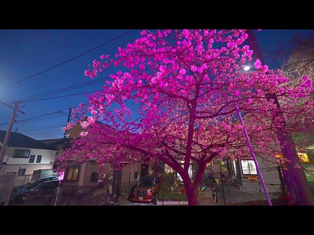 4K・ Night Japan - walking from Kanagawa to Tokyo・4K HDR