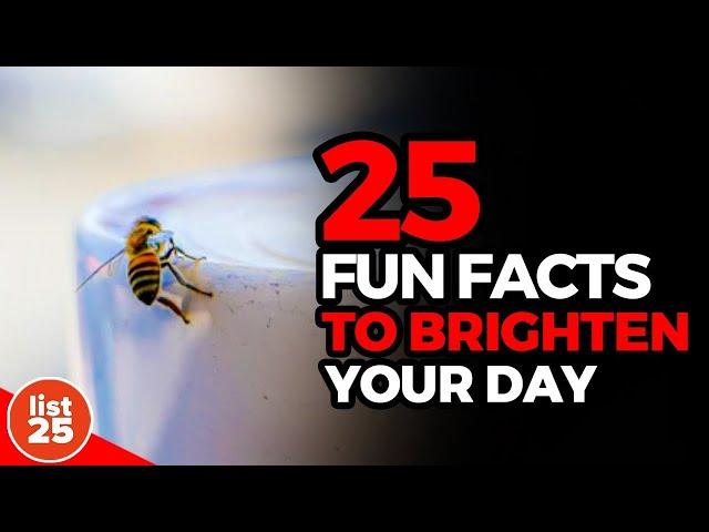 25 Fun Facts to Brighten Your Day