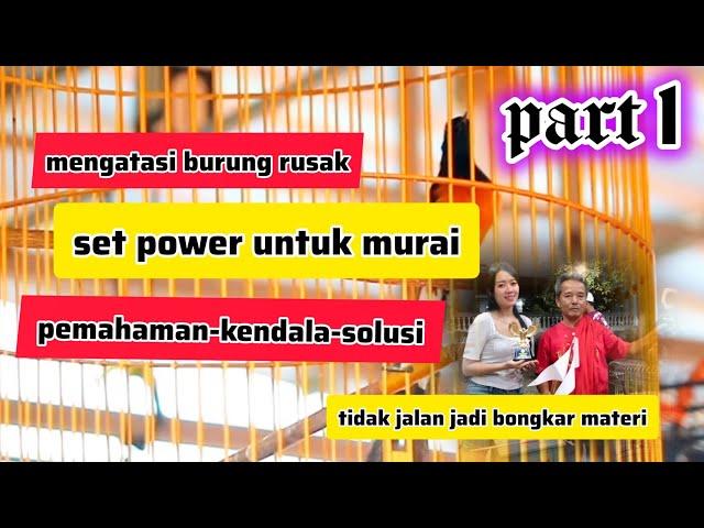 set power untuk murai part 1 tentang pemahaman set power kendala dan solusinya