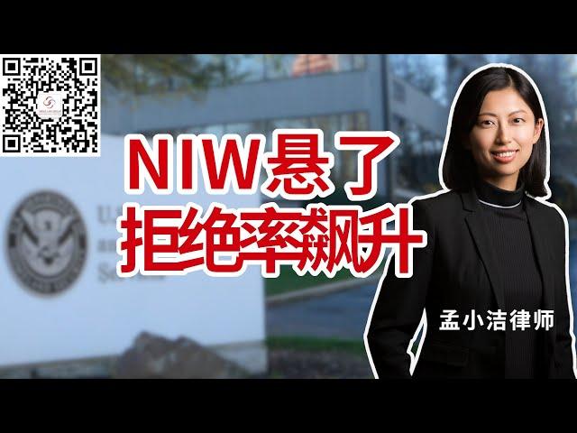 NIW拒绝率飙升！原因何在？如何解应对？