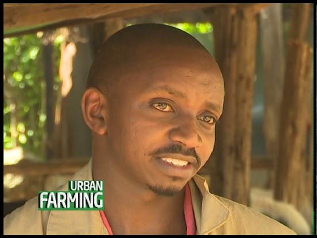 Young successful farmer narrates how agribusiness pays – Part 1