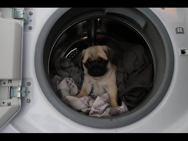 Pablo helps with the housework!