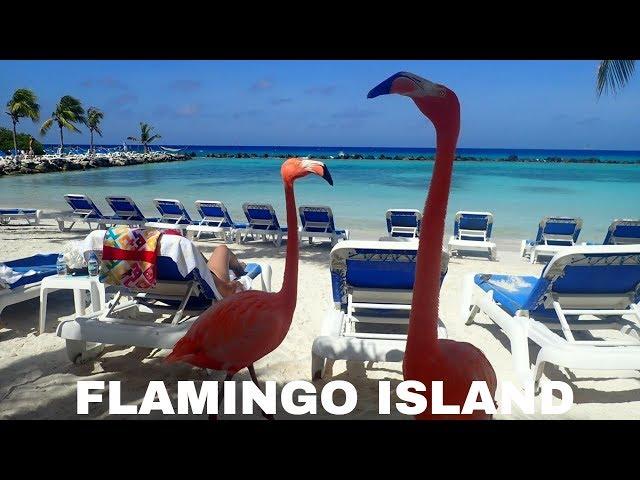 Flamingo Beach Aruba Private Island 4K