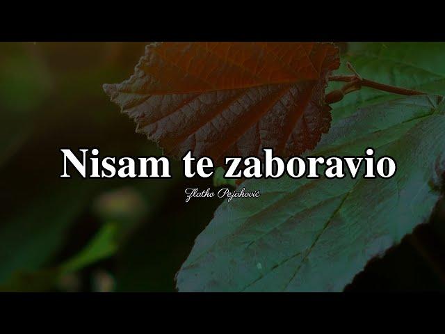 Zlatko Pejaković - Nisam te zaboravio (Official lyric video)