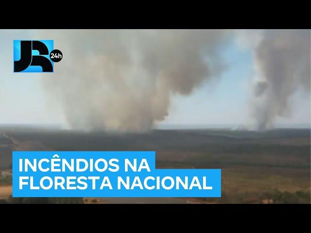 Incêndios atingem Floresta Nacional e provocam fumaça em Brasília (DF)