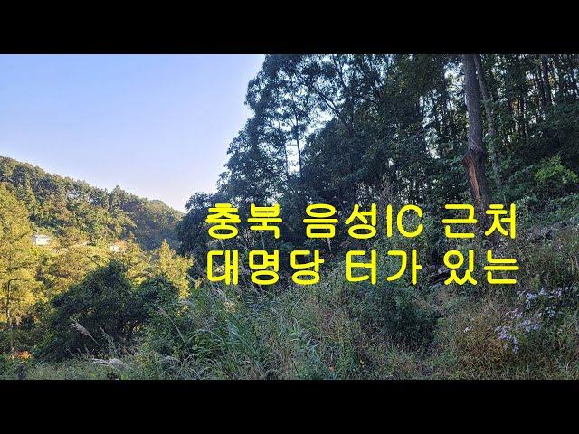 ( 명당부동산 매물16번 ) 충북 음성Ic 근처 대명당 터가 있는 임야매매