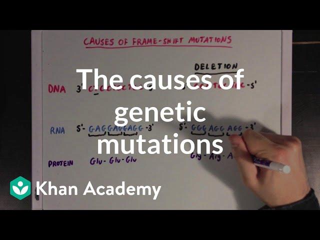 The causes of genetic mutations | Biomolecules | MCAT | Khan Academy