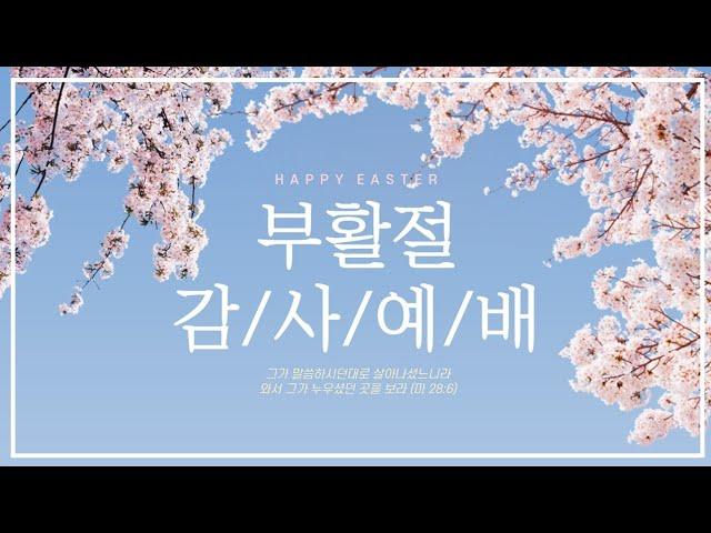 [25.04.20]좋은만남교회 in 대전 [부활절 감사예배]