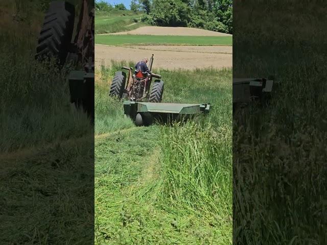 First Cutting Hay in Pennsylvania - International 856 with Haybine