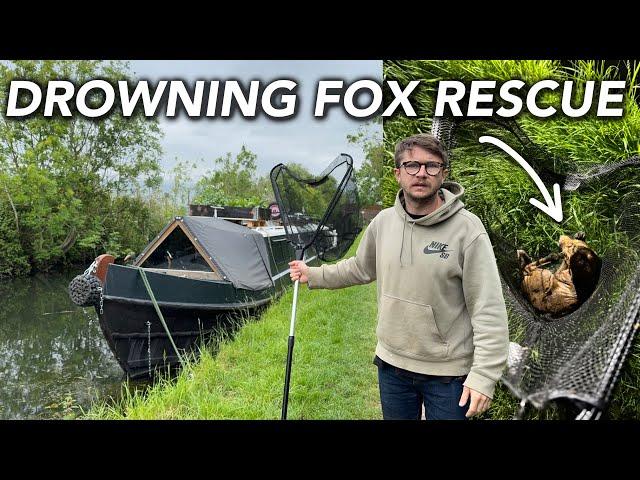 Living Aboard A Narrowboat & Rescuing A Drowning Fox From The Canal