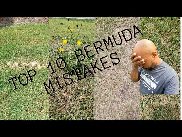 Bermuda tips and tricks, top 10 mistakes on bermuda lawns