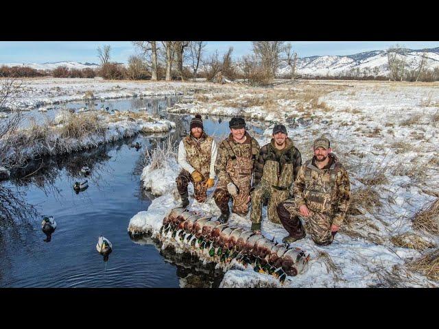 GREENHEADS ONLY!!! 4 Guns, 28 Mallards in the HOT TUB! (Tiny Warm Water Creek to Duck Burritos)