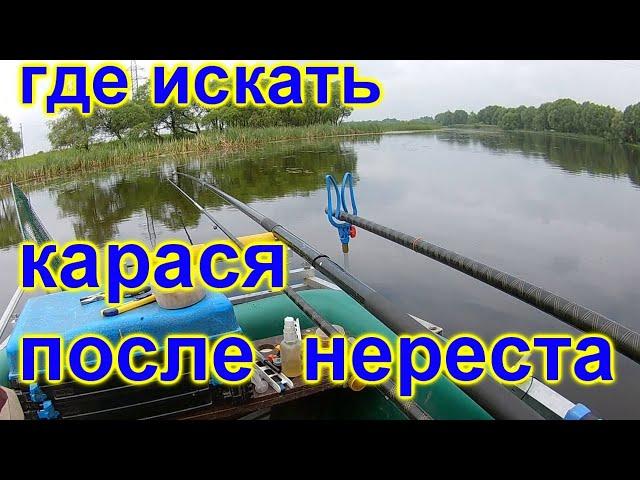 Где искать карася после нереста в пруду