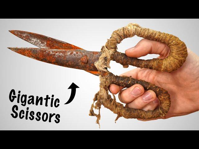 Rusty Gigantic Scissors 1900s Restoration - You won't believe the result