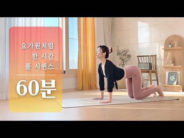 랜선 요가원에서 60분 요가 수업 | 초급자 요가 스트레칭, 에일린요가