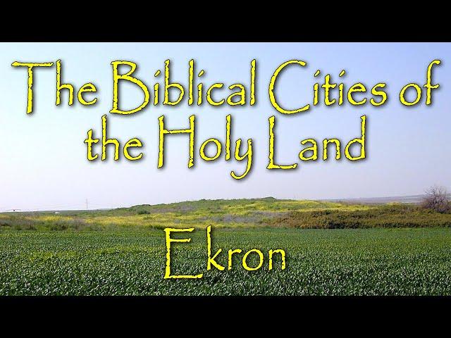 The Biblical Cities of the Holy Land: Ekron: A City of the Philistines