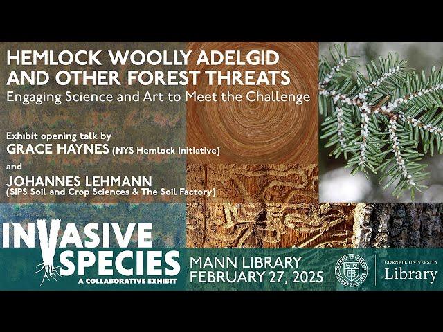 Haynes & Lehmann, HWA, Science and Art