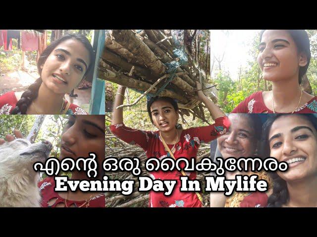 എന്റെ ഒരു വൈകുന്നേരം /Evening in my life/Aleena's Diaries