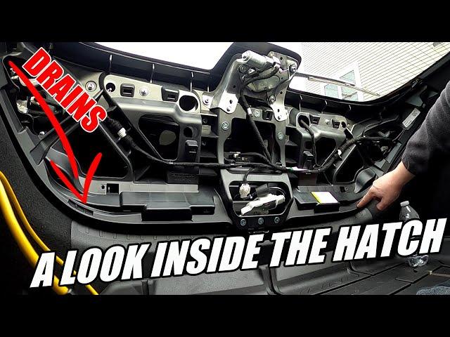 Inside The Leaking Hatch | 2022-2024 Civic Hatchback