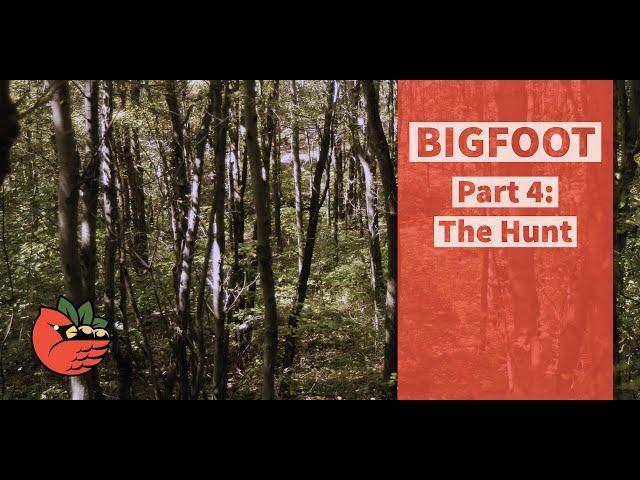 Bigfoot Part 4:  The Hunt