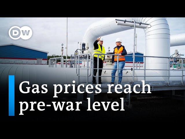 European natural gas prices drop back to pre-Ukraine war levels | DW News