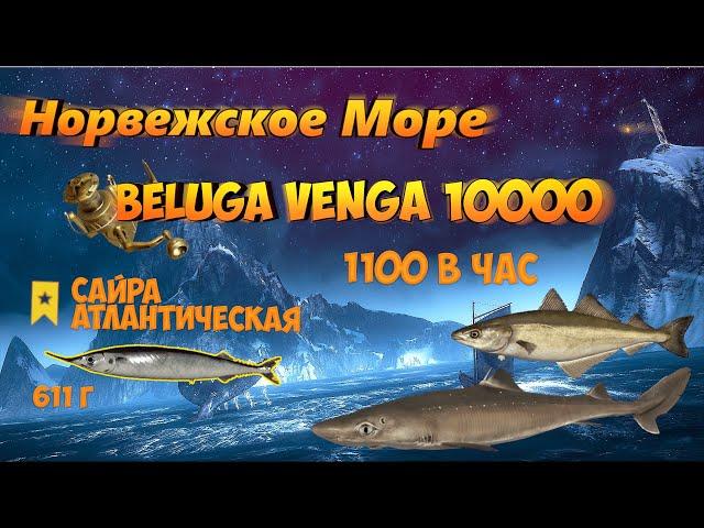 РР4 ️ Фарм 1100 в час на Сайре  Троф Сайра ️ Beluga Venga 10000 ️ Норвежское Море   sani0K 