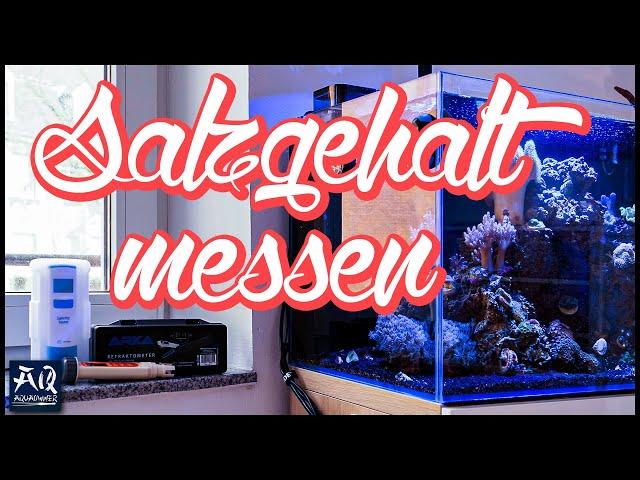 Alles über den Salzgehalt im Meerwasser Aquarium | AquaOwner