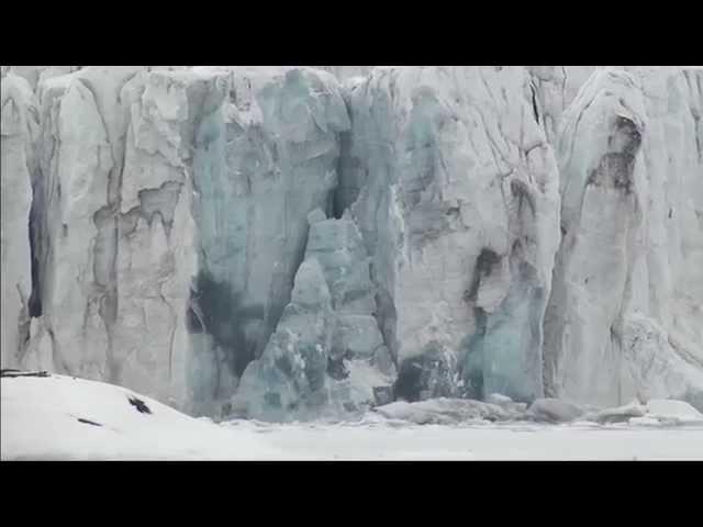 Polarbear with small cub and glacier calving