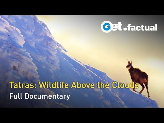 The Tatra Mountains - Life on the Edge | Full Documentary Episode 2