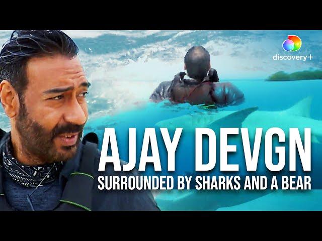 Ajay Devgn's Indian Ocean Adventure with Bear Grylls | Into the Wild | Discovery+ India